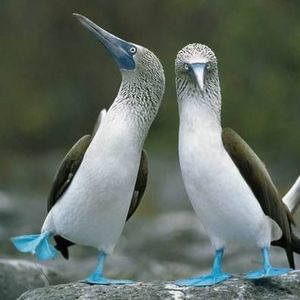 Meet your Posher, Alejandro